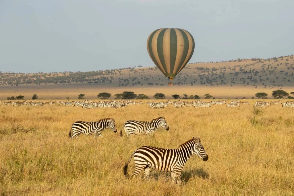 Hot air balloon safari over the Masai Mara at sunrise
