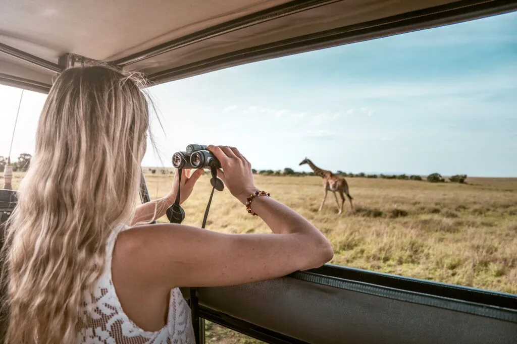 Giraffe in the Kenyan savannah