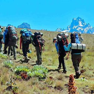 5-Day Mount Kenya Trek – Sirimon Route to Point Lenana