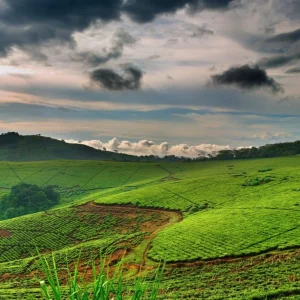 11 DAYS UGANDA: DISCOVERING THE CULTURE
