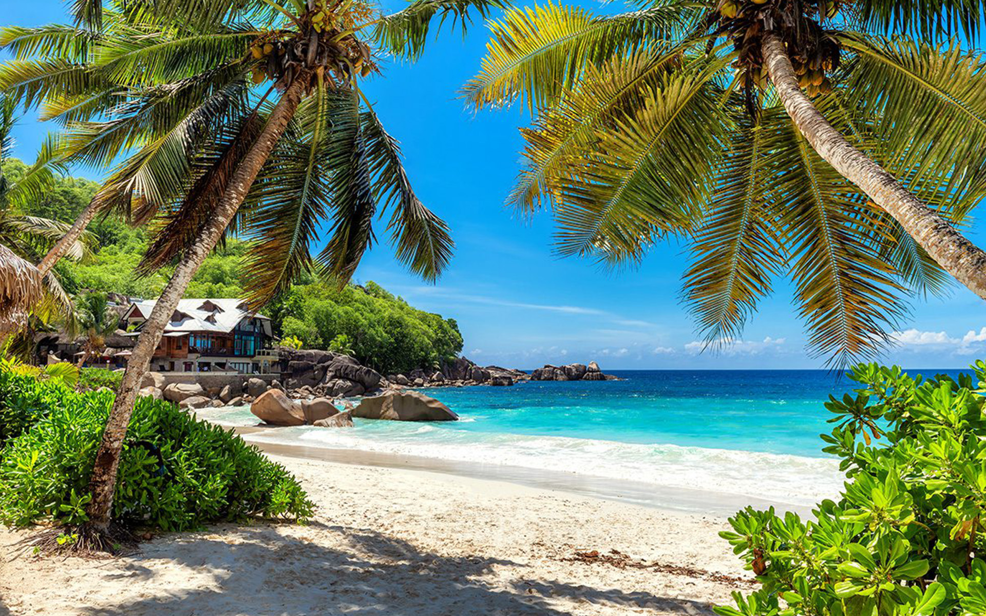 beach-palm-trees_zanzibar