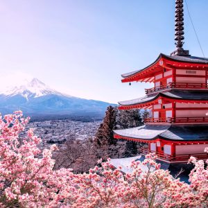 9 Days Japan Tour-Tokyo, Osaka and Kyoto (17th-25th April)