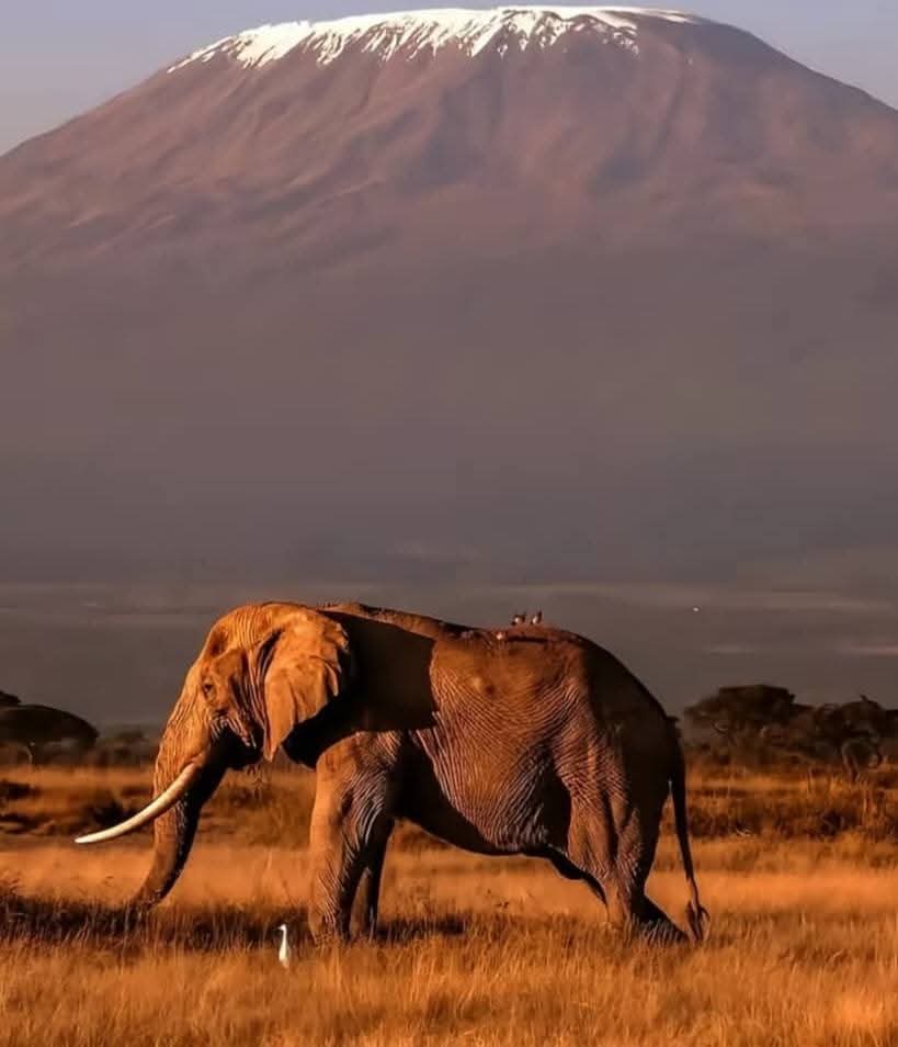 Tanzania