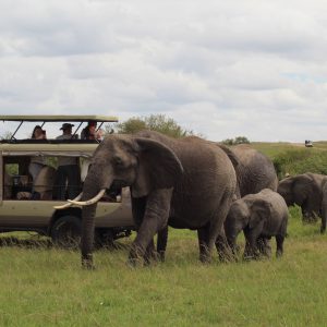 10 Days Kenya Safari & Beach Holiday Group Departure.